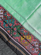 Pista Plain Gala Border With Designer Blouse  Handwoven Patola Silk Saree